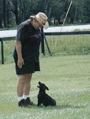 In this minimum 7 day K-9 Boot Camp Board & Train Program, your dog will receive the following training:   1.) Voice Commands (in foreign language, if requested) - Respond to Voice commands (beside English, if you wish, we can train your dog in German, Dutch, French, Czech or . . . ?)   2.) Focused Attention - Demonstrate that he gives automatic focused attention by looking calmly up into the face of the handler.   3.) Snap Sit - Accomplish a very snappy "Sit", with an automatic focused attention.   4.) Quick Down - Show he will do a consistent and quick Down.     5.) Solid Stay - Demonstrate his settling into a real solid, automatic stay with the "Down" command.   6.) Release Command - Show he will do that solid stay until the release command "Okay" is given.      7.) Reliable Recall - Demonstrate the "Here" command showing his Recall (Come) by him coming quickly and ending with a "Sit" with an automatic focused attention right in front of handler.   8.) No Pulling When "Flexi-Heeling" (Walking) casually either On-Leash Next To The Handler or out to Varying Distances Out In Front Of The Handler - Show, with the "Easy" command, on a casual walk, that the dog walks nicely at whatever distance the handler wishes, on a loose leash, without any pulling and that he turns when the handler does. Invented at Von Asgard K-9 Center, our award winning "Flexi-Heeling" offers an enjoyable walk whether at your side (like heeling), near you or out in front of you. When compared to the repressive drill team-like competition heeling commonly taught, this flexibility adds a new dimension.     9.) Walk Past Other Dogs - Show, with the "Easy" command, that the dog, while walking on-leash, can walk by other dogs and ignore them.    10.) Crate Trained - Show that the dog has learned to love his "Special Spot" (his crate), like a kid loves a tree house, by pointing and using the "Place" command.   11.) Polite Greeting - Use the "Off" command to demonstrate a Polite Greeting on-leash with the dog not bothering or jumping up when meeting people.    12.) Polite Door Manors - With the "Easy" command, demonstrate that the dog will sit and wait when going through a door or a gate.    13.) Polite Table Etiquette - With the "Easy" command, demonstrate that the dog will sit and wait till commanded to eat.    14.) Distractions - Work these exercises while under slight distractions.    15.) "Invisible Leash" - Introduction to and understanding of the E-collar.    16.) Two Hour Graduation Program - When our training has been completed there will be a 2 hour Graduation Program to catch you up with what your dog now knows and all the commands and how to handle him.    17.) Lifetime Training Guarantee - Receive Von Asgard K-9 Centers 3 way lifetime training guarantee. See below for details.    18.) "Invisible Leash" Remote Collars, if requested, are available at an extra cost (between $199 - $299) from Von Asgard.      