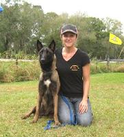 We train Belgian Malinois!