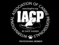 Professional Training & Boarding with a "Distinct European Flavor"!