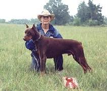Linda Werlein with Arrk von Asgard at the UDC North American Working Dog Championship in Bowling Green, KY, 1994.