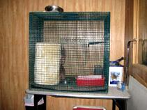 The "feline" enclosure is located in Von Asgard's Office Building.