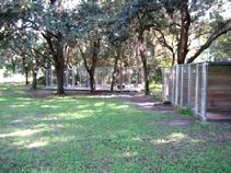 Von Asgard's kennels are all nestled under heavy, shade oaks.