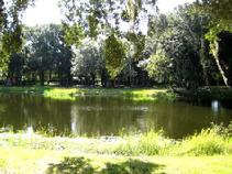 Euro Pros K-9 Center's 15 acre park-like setting is very exciting place for your pet to explore.