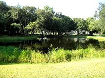 Euro Pros' protected swimming pond is very inviting. Yes, your dog will thank you!