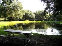 This is another look at Von Asgard's protected pond. The last one "in is a . . . 