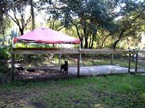 Small Dog's can have some outdoor fun if they are "okayed" to do so. Shown here is Von Asgard's Small Dog Play Area and/or Puppy Play Pen.