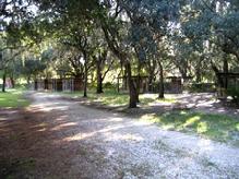All Euro Pros kennels are fully shaded under heavy oaks surrounding Euro Pros protected swimming pond.