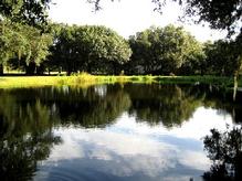 Euro Pros' protected pond is for swimming and retrieving.