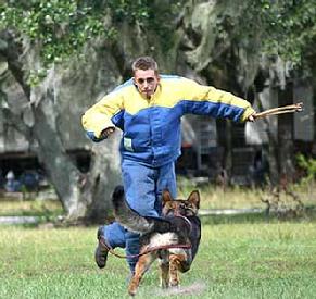 Jeremiah Comes, at Euro Pros K-9 Center.