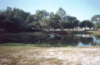 This is a look across Euro Pros K-9 Center's protected swimming pond toward the front of the "K-9 Dude Ranch" property. Our standard boarding includes 3 on-leash hikes, plus a daily supervised, free-running play session.