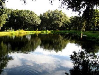 Euro Pros K-9 Center near Sarasota, Florida features a beautiful park-like 40 acre facility. Our high-activity boarding is like no other. Call Von Asgard to set up a boarding reservation . . . your dog will thank you!